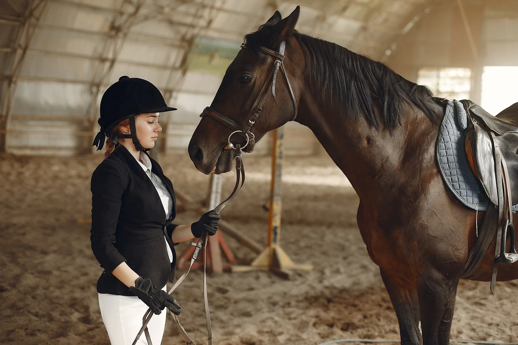The Equestrian Gear Shop -The Equestrian Gear Shop 0d98fc 2646f09ed1ce404c83db124e926a0706mv2