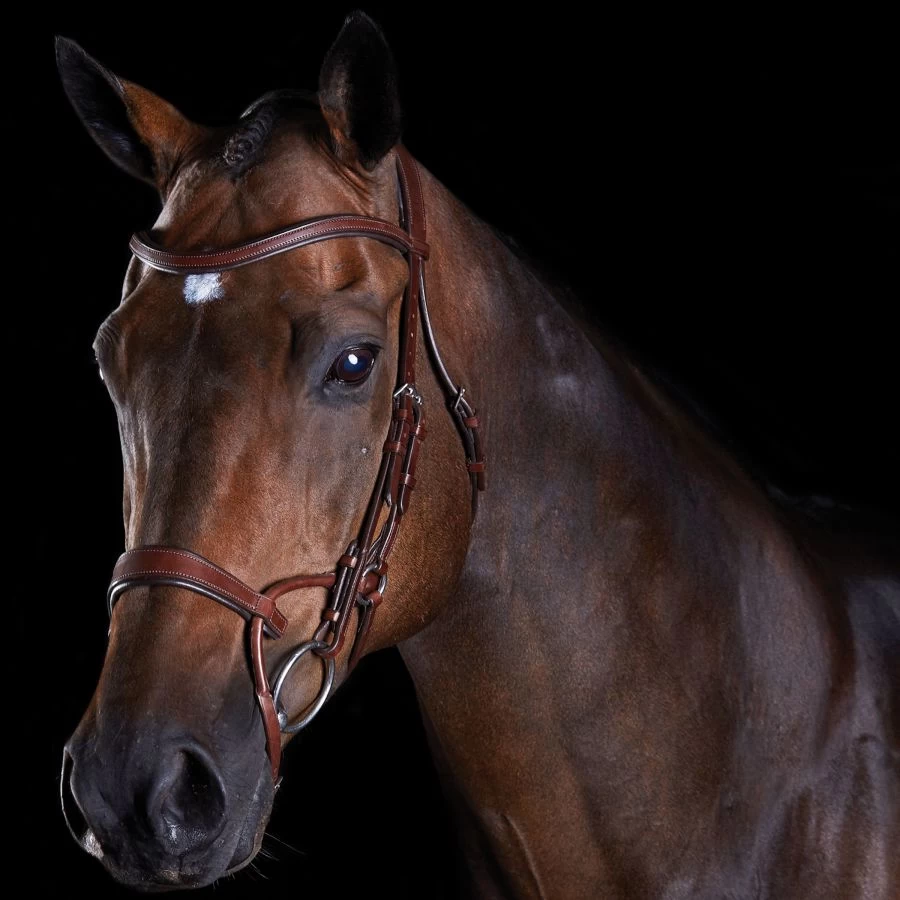 Collegiate Comfitec Training Bridle 1 Collegiate Comfitec Training Bridle