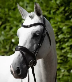 Premier Equine Rizzo Anatomic Snaffle Bridle With Flash -The Equestrian Gear Shop PERizzobridlebrown