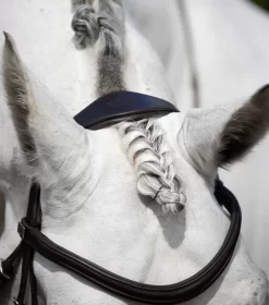 Premier Equine Rizzo Anatomic Snaffle Bridle With Flash -The Equestrian Gear Shop PERizzocrownpiecebrown