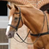 Premier Equine Salvatore Rubber And Leather Reins