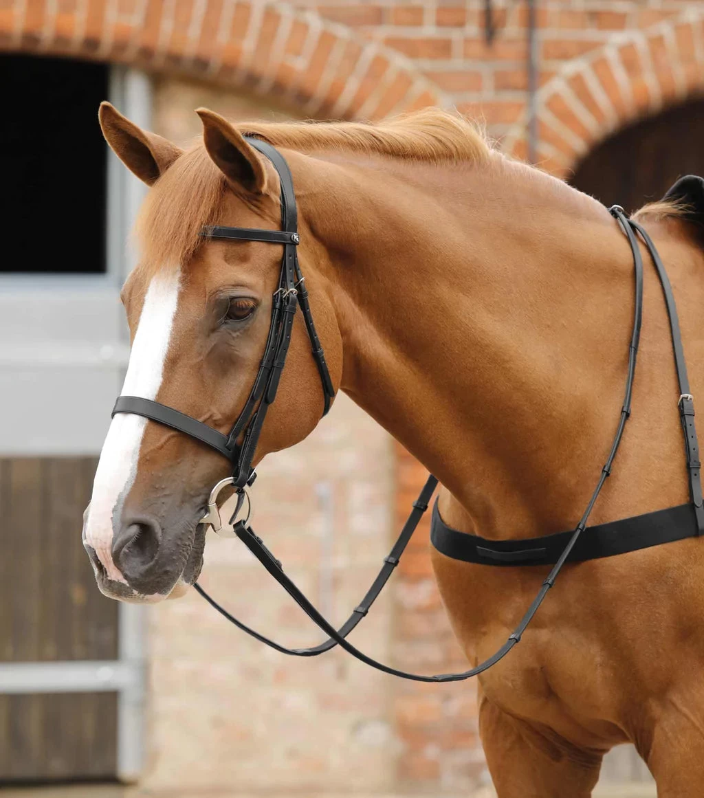 Premier Equine Salvatore Rubber And Leather Reins 1 Premier Equine Salvatore Rubber And Leather Reins