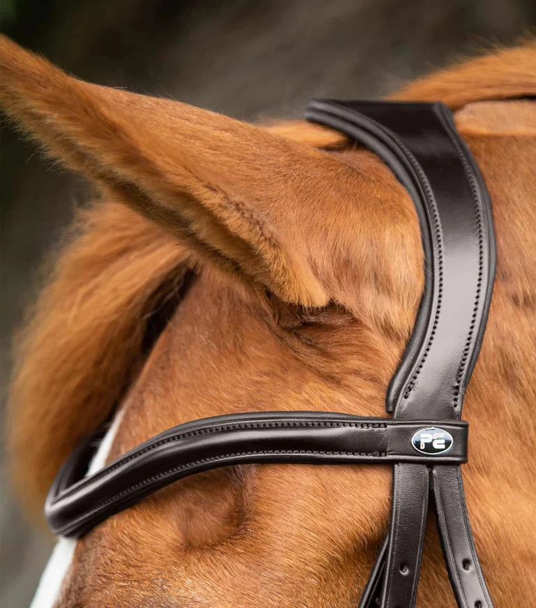 Premier Equine Glorioso Grackle Bridle 3 Premier Equine Glorioso Grackle Bridle - Image 3
