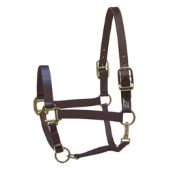 Perri's Safety Halter -The Equestrian Gear Shop Perri sSafetyHalternavy