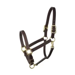 Perri's 1" Havana Turnout Halter