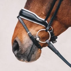 Schockemoehle Stanford Dressage Bridle 7 Schockemoehle Stanford Dressage Bridle -The Equestrian Gear Shop SchockemoehleStanford blackwhitesilver 2