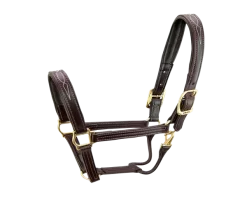Walsh Signature Padded Halter