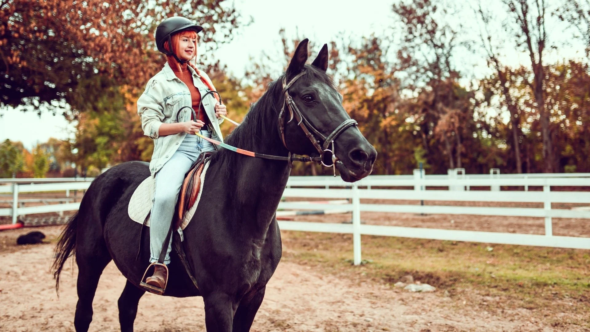 The Equestrian Gear Shop -The Equestrian Gear Shop commands