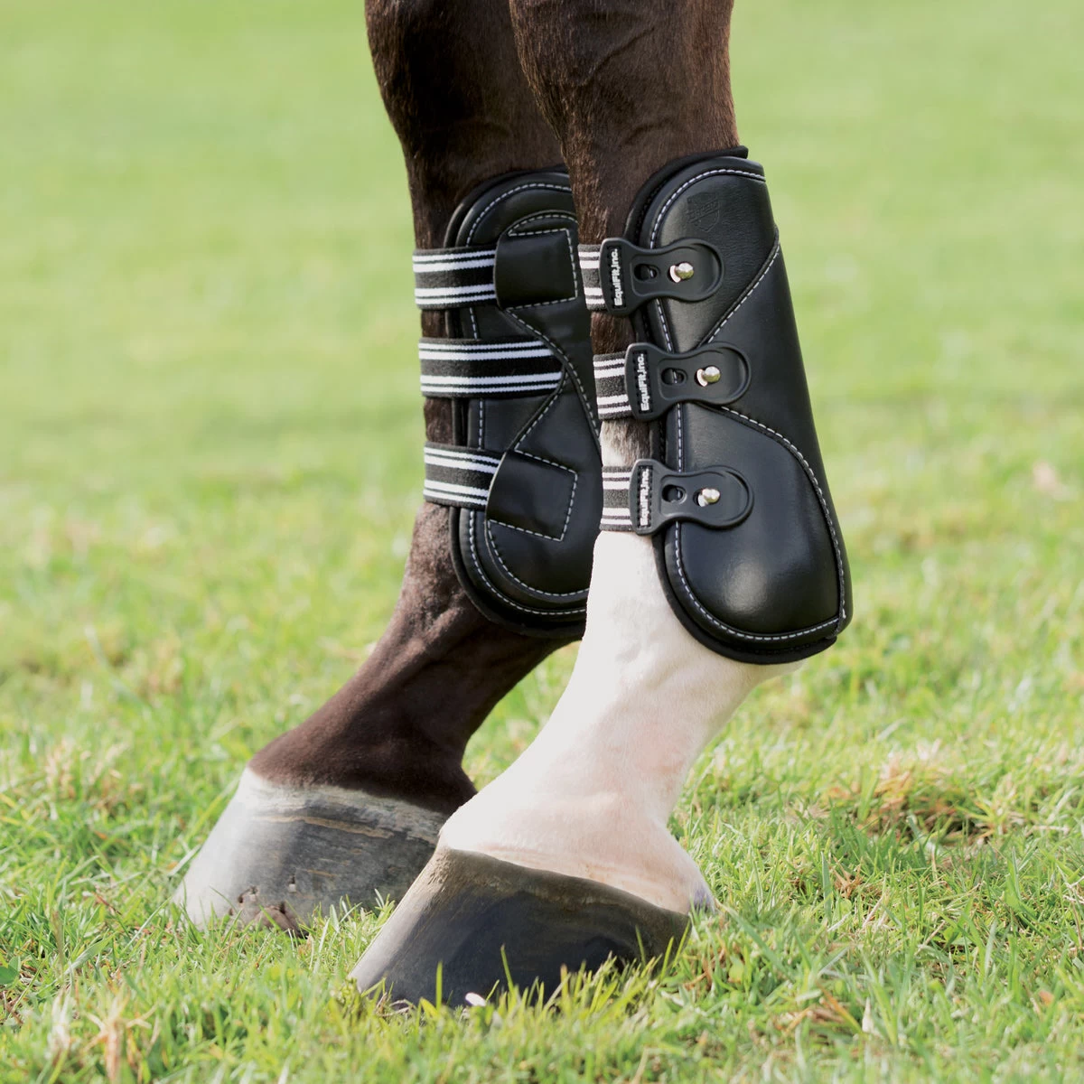 The Equestrian Gear Shop -The Equestrian Gear Shop equi1