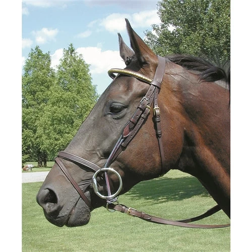 Nunn Finer Leather Gag Cheeks 1 Nunn Finer Leather Gag Cheeks