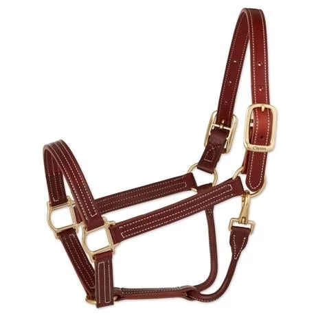 Walsh British Triple Stitched Leather Halter 1 Walsh British Triple Stitched Leather Halter