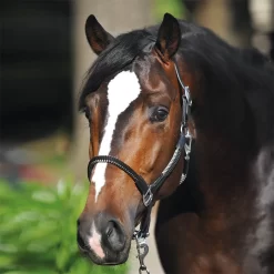 Kavalkade Rope Halter Set 11 Kavalkade Rope Halter Set -The Equestrian Gear Shop kav7