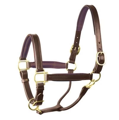Perri's 1" Leather Padded Halter 1 Perri's 1" Leather Padded Halter